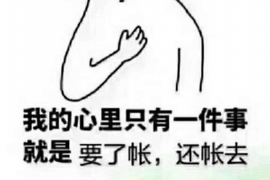 邵东融资清欠服务